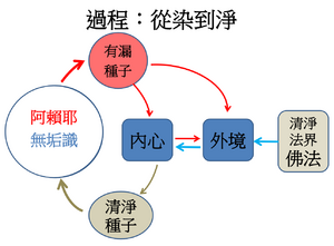 阿赖耶从染到净之过程.png