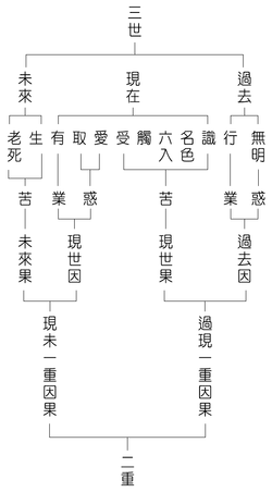 三世两重因果